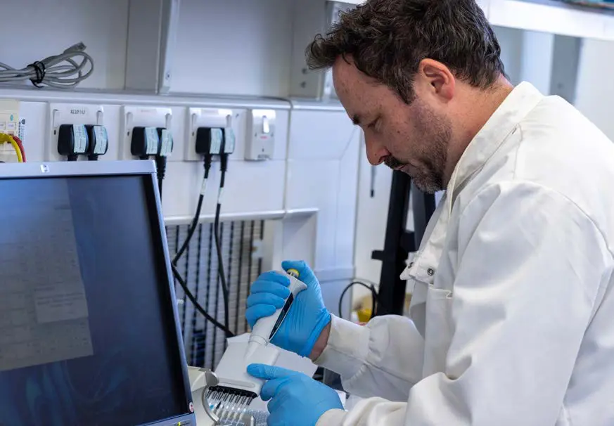 A researcher working in a laboratory