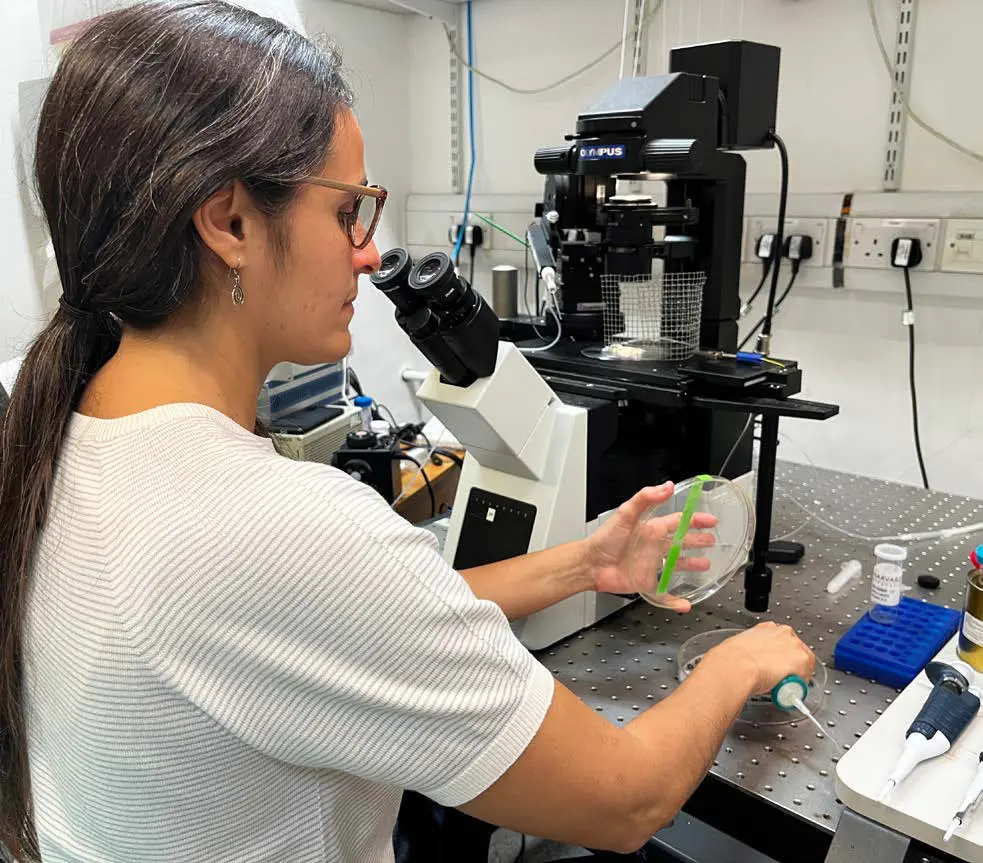 A researcher working at a microscope